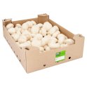Farm Fresh Closed Cup Mushrooms 2.5kg