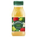 Copella Cloudy Apple Fruit Juice 300ml
