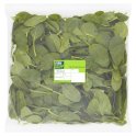 Farm Fresh Spinach