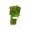 Farm Fresh Mint